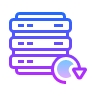 Disaster Recovery